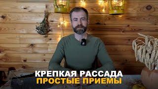 РАССАДА ВЫРАСТЕТ БЫСТРЕЕ. Как вырастить крепкую рассаду в кратчайшие сроки.