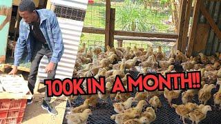 Agribusiness:How I made my first 100k through poultry farming in just One month//Ian Musiga