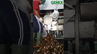 Coconut Deshelling Machine |Genex  Tech Industries| Deshelling Machine | Coconut Machine | #coconut