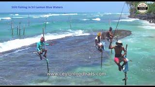 STILT Fishing Sri Lanka | STILT Fisherman Sri Lanka