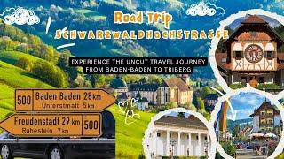 Road Trip Through the Black Forest | B500 Schwarzwaldhochstraße | Baden-Baden to Triberg!