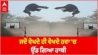 ਜਦੋਂ ਵੇਖਦੇ ਹੀ ਵੇਖਦੇ ਹਵਾ 'ਚ ਉੱਡ ਗਿਆ ਹਾਥੀ | Elephant flies in Air | Viral Video | Abp Sanjha