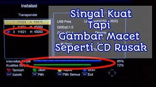 Penyebab Sinyal Nex Parabola Kuat Tapi Gambar Seperti CD Rusak