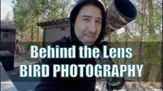 Behind the Lens Bird Photography