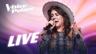 Ania Iwanek | „Dzieci malarzy” | LIVE | The Voice of Poland 15