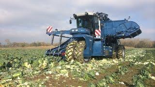 ASA-LIFT SP 260 B | self-propelled Cabbage Harvester | 2-row & 6 ton bunker