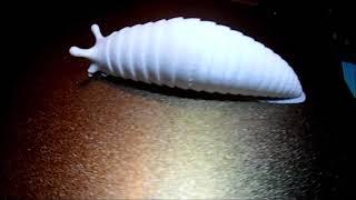 Anycubic Vyper vs. Mono X "Slugging" it out with the Slug model