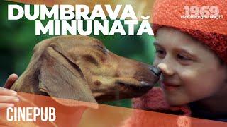 DUMBRAVA MINUNATĂ (1980) de Gheorghe Naghi - film online pe CINEPUB