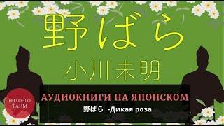Аудиокнига на японском языке с текстом для начинающих   Дикая Роза, 野ばら