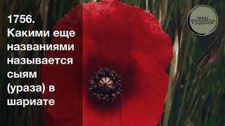 Какими еще названиями называется сыям (ураза) в шариате / Шарх Булуг иль-марам