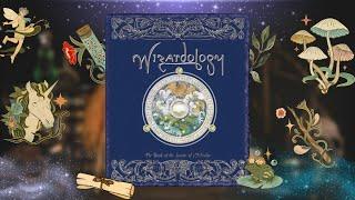 Wizardology: The Book of the Secrets of Merlin Flipthrough