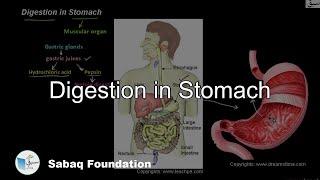 Digestion in Stomach, General Science Lecture | Sabaq.pk