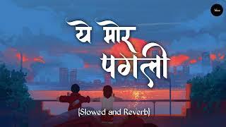 A Mor pagli || Shashank Soni shuhanil || cg song || slowed and reverb ||