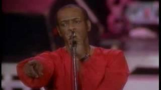 The Contours - DO YOU LOVE ME? (Dirty Dancing Live In Concert 1988)