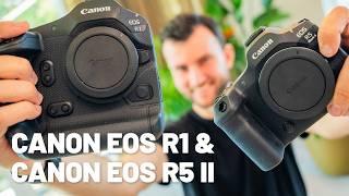 Die am meisten erwartete Kamera des Jahres! - Canon EOS R1 & R5 II