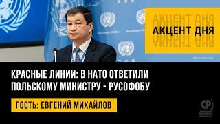 Красные линии: в НАТО ответили польскому министру - русофобу. Евгений Михайлов.