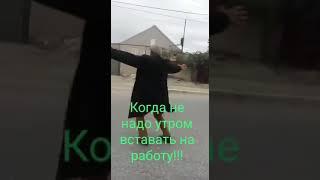 Сегодня выходной!!!