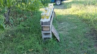 Why OPEN Feeding vs Hive Top or In Hive Feeding!