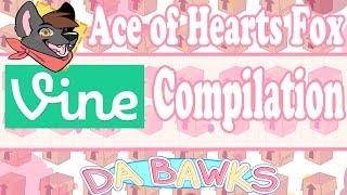 Ace of Hearts Fox Vine Compilation