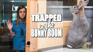 24 HOURS TRAPPED IN THE BUNNY ROOM 