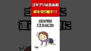 【ゴキブリ 駆除】ゴキブリ氏ぬ前 卵を切り離す #shorts #虫雑学 #害虫 #ゴキブリ