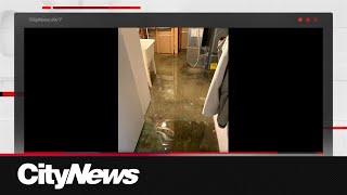 Homeowners claim insurance company changed flooding policy without notice