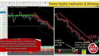 Mt4 Indicator Hydra | Mt4 Indicators Free Download