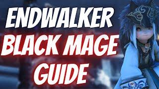 FFXIV - Black Mage Endwalker Guide - Openers, Rotation, Optimization, and Frequently Asked Questions