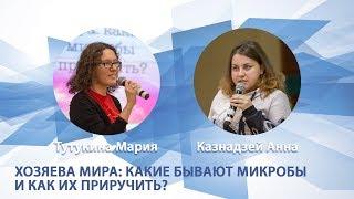 Научная гостиная "Хозяева мира: какие бывают микробы и как их приручить"