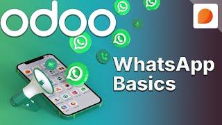 WhatsApp Basics | Odoo Discuss