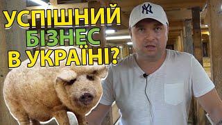 Як створити успішний бізнес в Україні?! Досвід підприємця