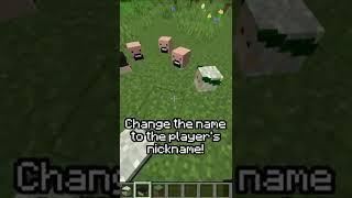 How To Get Player's Heads in Minecraft  #shorts