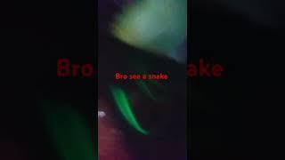 Bro see a snake #subscribe #horrorshorts