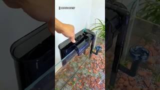 Hang on Back Filter for Aquarium | HOW TO GET CRYSTAL CLEAR AQUARIUM WATER | Aquarium Filter | #fish