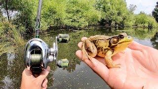 EXPERIMENT: FISHING WITH LIVE FROGS!!! (Surprising Results)