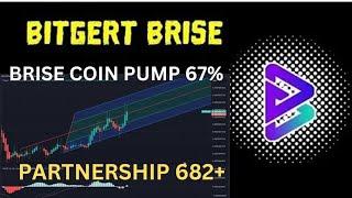 BRISE Coin Partnership 682 | Bitgert Supply Burn | BRISE $0.00004 | Binance Listing