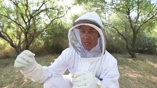 Extracting Honey from Our Bee Hives! DELLA VLOGS