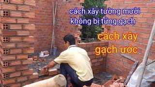 #81 trí xây dựng.chia sẻ cách xây tường mười không bị tửng gạch.