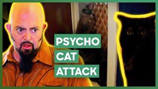 Jackson Galaxy Tries To Stop Psycho Cat From Attacking Fellow Cat | My Cat From Hell