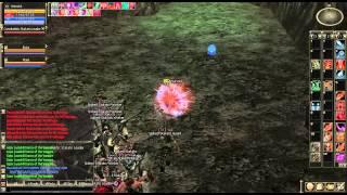 Lineage 2 Stakato Nest Trains 2