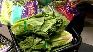 CDC Warns Not To Eat Romaine Lettuce After New E. Coli Outbreak