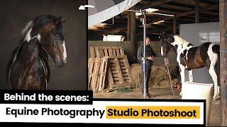 BTS Equine Photography in Studio Light | How To Photograph Horses in Studio (aka, an available barn)
