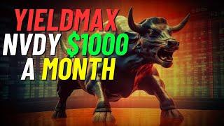 YieldMax NVDY $1,000 A Month Dividends | How Much?