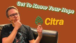 Get To Know Your Hops: Citra + Citra Incognito