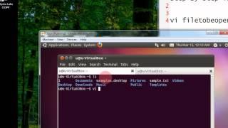 Open a file in vi or vim editor In Linux Or Ubuntu Step By Step Tutorial