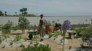 Garden Design • Coastal Garden