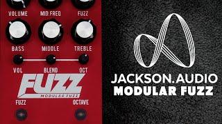 Jackson Audio Modular Fuzz Demo | zZounds