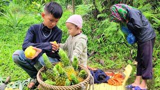 The boy picked pineapples to sell and raised pigs and chickens