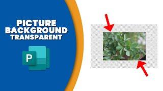 How to make picture background transparent in Microsoft publisher