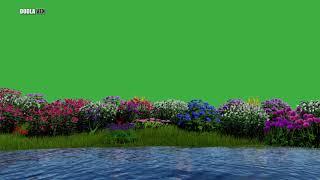 Beautiful lake green screen 4k background video